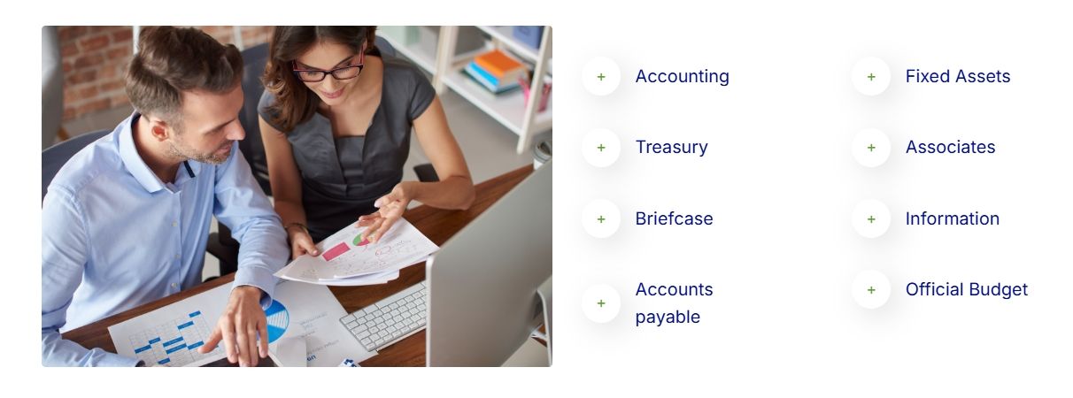 OasisCom ERP Accounting Software Screenshot 5