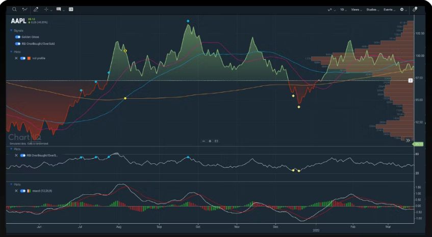 ChartIQ Screenshot 3