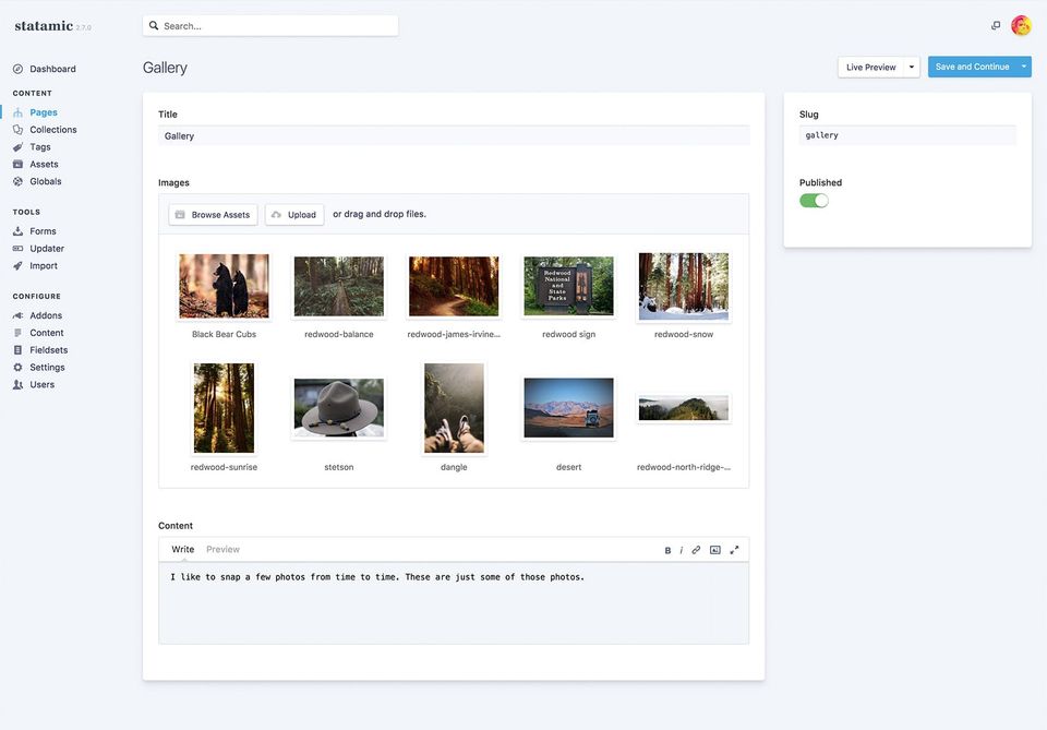 Statamic Screenshot 2