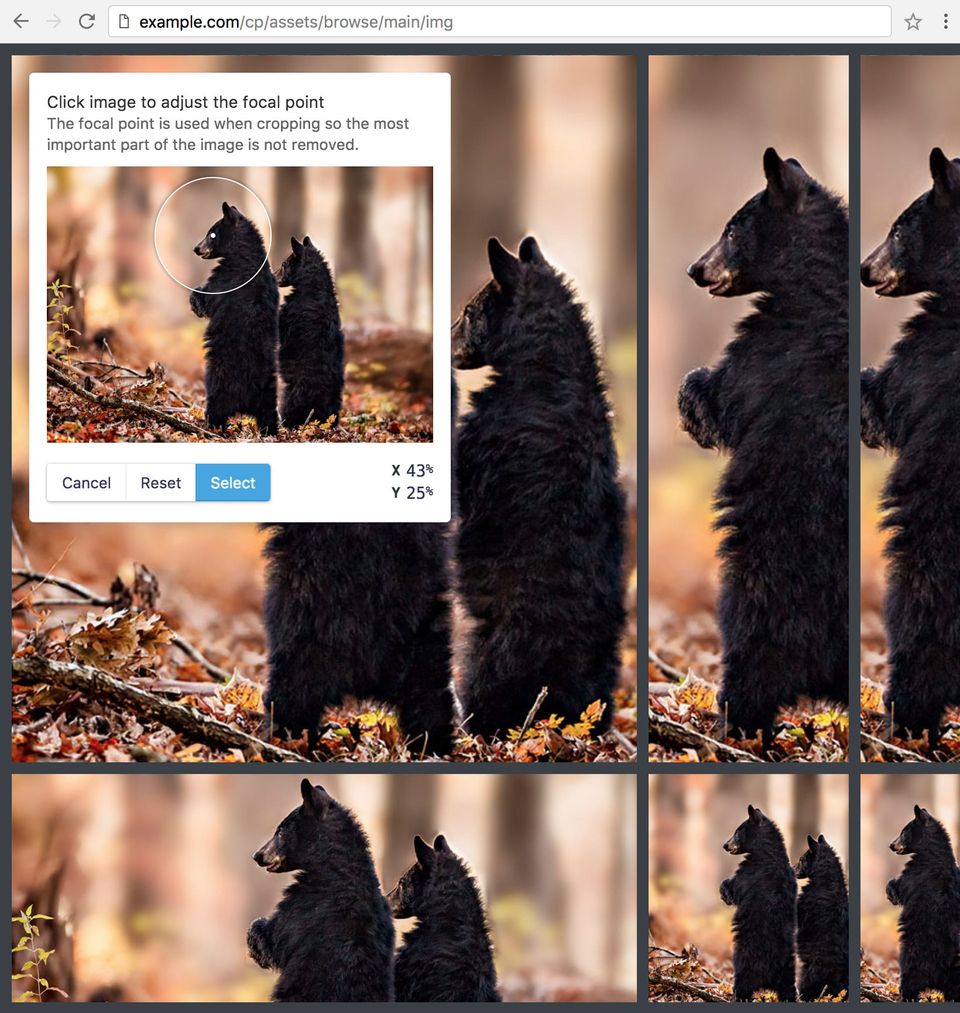 Statamic Screenshot 4