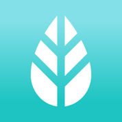 MoreApp Forms