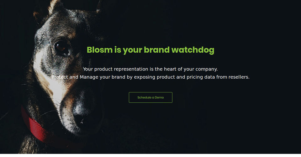 Blosm Screenshot 3