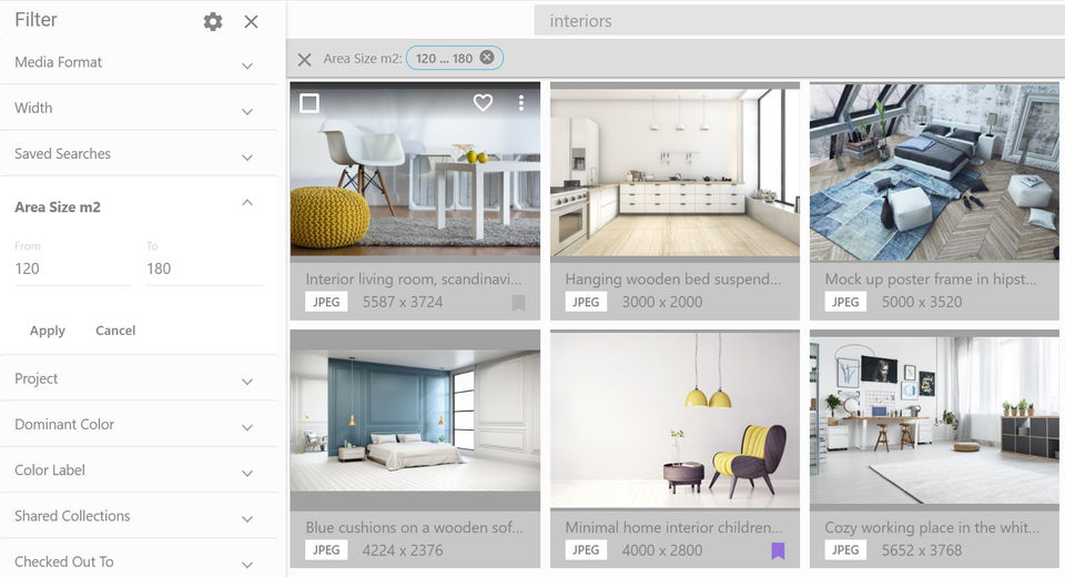 Daminion Screenshot 4