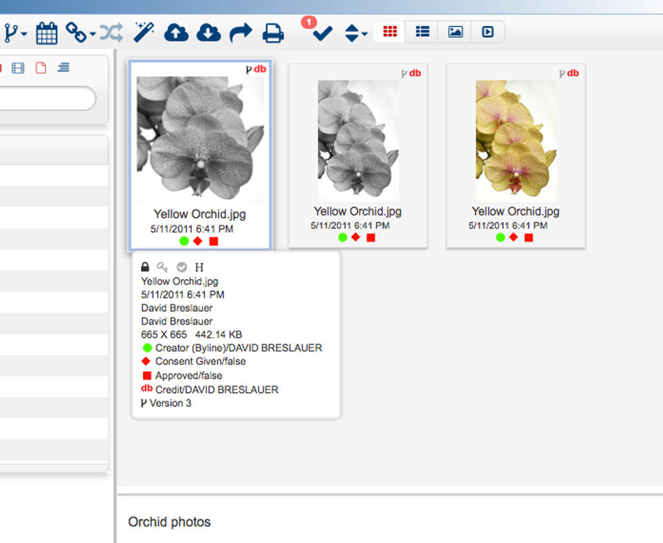 MerlinOne Screenshot 5
