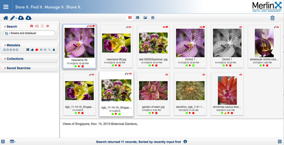 MerlinOne Screenshot 9