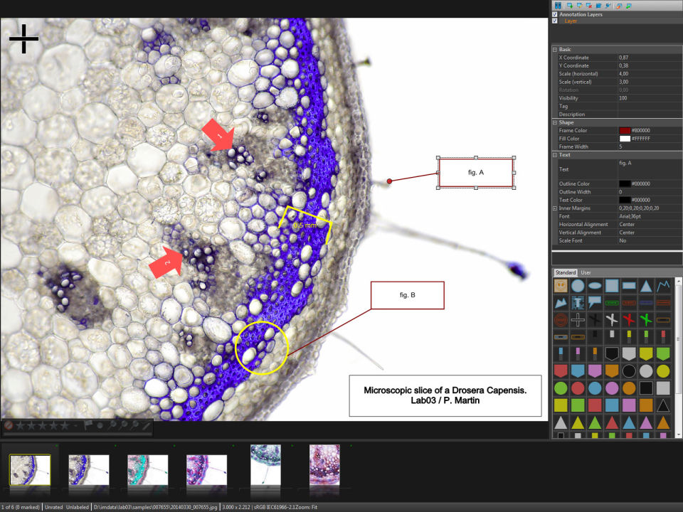 IMatch Screenshot 5