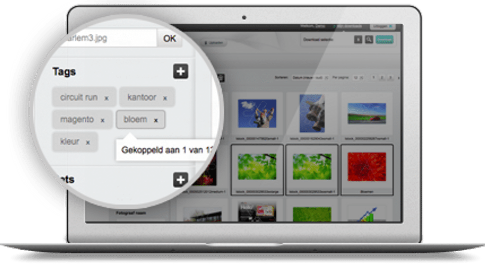 Cocoon Media Management Screenshot 4