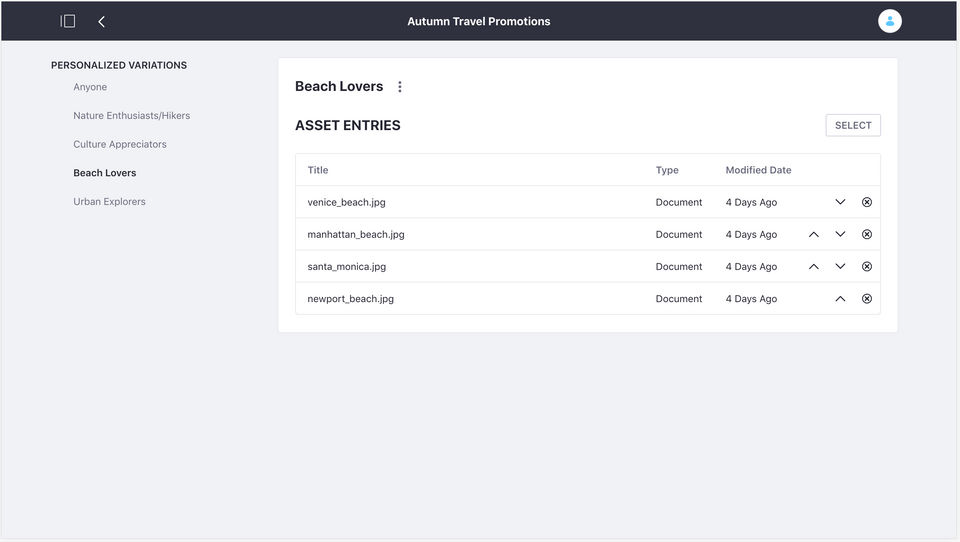 Liferay Digital Experience Platform Screenshot 4