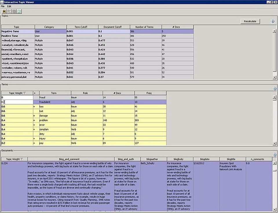 SAS Text Miner Screenshot 2