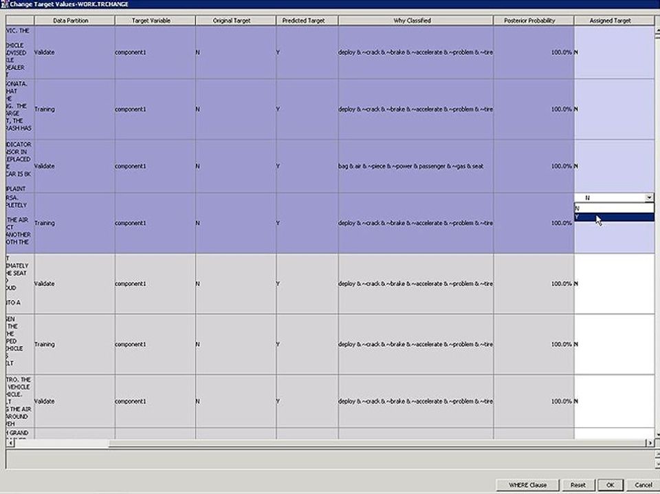 SAS Text Miner Screenshot 4